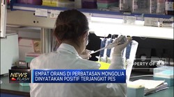 4 Orang di Mongolia Positif Bubonic Plague