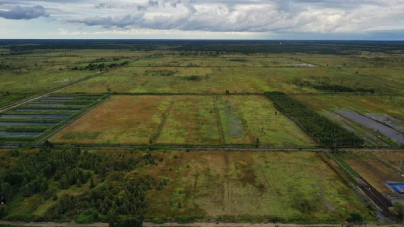 Menteri Pekerjaan Umum dan Perumahan Rakyat (PUPR) Basuki Hadimuljon meninjau lahan program pengembangan food estate di Provinsi Kalimantan Tengah (Kalteng). (Dokumentasi Kementerian PUPR)