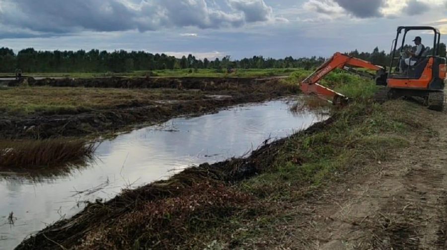 Lahan program pengembangan food estate di Provinsi Kalimantan Tengah (Kalteng). (Dokumentasi Kementerian PUPR)