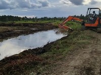 Garap Puluhan Ribu Hektare, Ini Dia Update Lumbung Pangan RI