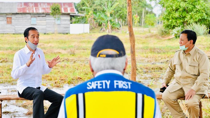 Presiden Joko Widodo dan Menteri Pertahanan Prabowo Subianto meninjau lokasi pengembangan food estate atau lumbung pangan nasional dalam kunjungan kerja ke Provinsi Kalimantan Tengah pada Kamis (9/7/20220). (Biro Pers Sekretariat Presiden/ Laily Rachev)