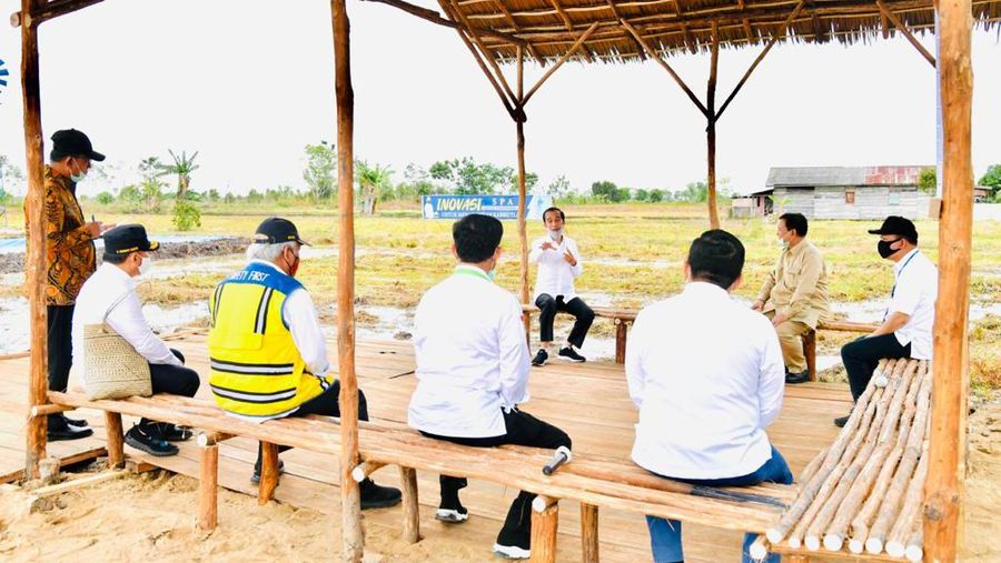 Presiden Joko Widodo beserta rombongan meninjau lokasi pengembangan food estate atau lumbung pangan nasional dalam kunjungan kerja ke Provinsi Kalimantan Tengah pada Kamis (9/7/20220). (Biro Pers Sekretariat Presiden/ Laily Rachev)