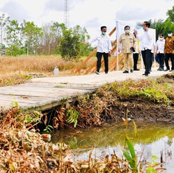 Jokowi Bakal Resmikan Lumbung Pangan 'Raksasa' di Jawa Timur