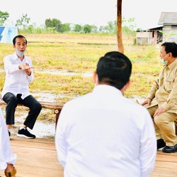 Amankan RI dari Krisis Pangan, Segini Dana Dihabiskan Jokowi!
