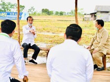 Amankan RI dari Krisis Pangan, Segini Dana Dihabiskan Jokowi!