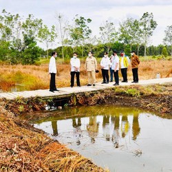Prabowo Respons Tudingan Soal Data Palsu Program Food Estate