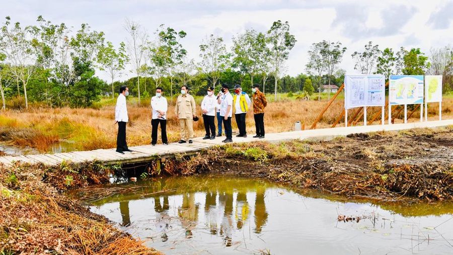 Presiden Joko Widodo beserta rombongan meninjau lokasi pengembangan food estate atau lumbung pangan nasional dalam kunjungan kerja ke Provinsi Kalimantan Tengah pada Kamis (9/7/20220). (Biro Pers Sekretariat Presiden/ Laily Rachev)