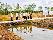Prabowo Respons Tudingan Soal Data Palsu Program Food Estate