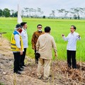 Ternyata Bangun Lumbung Pangan Jokowi Butuh Rp 68 T