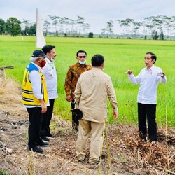 Ternyata Bangun Lumbung Pangan Jokowi Butuh Rp 68 T