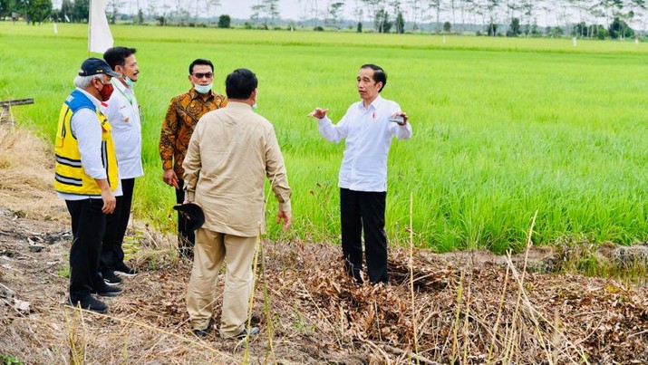 Presiden Joko Widodo beserta rombongan meninjau pembangunan peningkatan jaringan reklamasi rawa di Tahai Baru, Kabupaten Pulang Pisau, Kamis (9/7/2020). (Biro Pers Sekretariat Presiden/Laily Rachev) Presiden Joko Widodo beserta rombongan meninjau pembangunan peningkatan jaringan reklamasi rawa di Tahai Baru, Kabupaten Pulang Pisau, Kamis (9/7/2020). (Biro Pers Sekretariat Presiden/Laily Rachev)