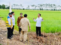 Ternyata Bangun Lumbung Pangan Jokowi Butuh Rp 68 T