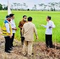 Moeldoko Ungkap Jokowi Tunjuk Prabowo Komandoi Food Estate