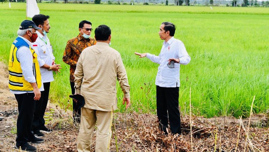 Presiden Joko Widodo beserta rombongan meninjau pembangunan peningkatan jaringan reklamasi rawa di Tahai Baru, Kabupaten Pulang Pisau, Kamis (9/7/2020). (Biro Pers Sekretariat Presiden/Laily Rachev)