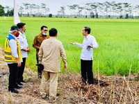 Moeldoko Ungkap Jokowi Tunjuk Prabowo Komandoi Food Estate