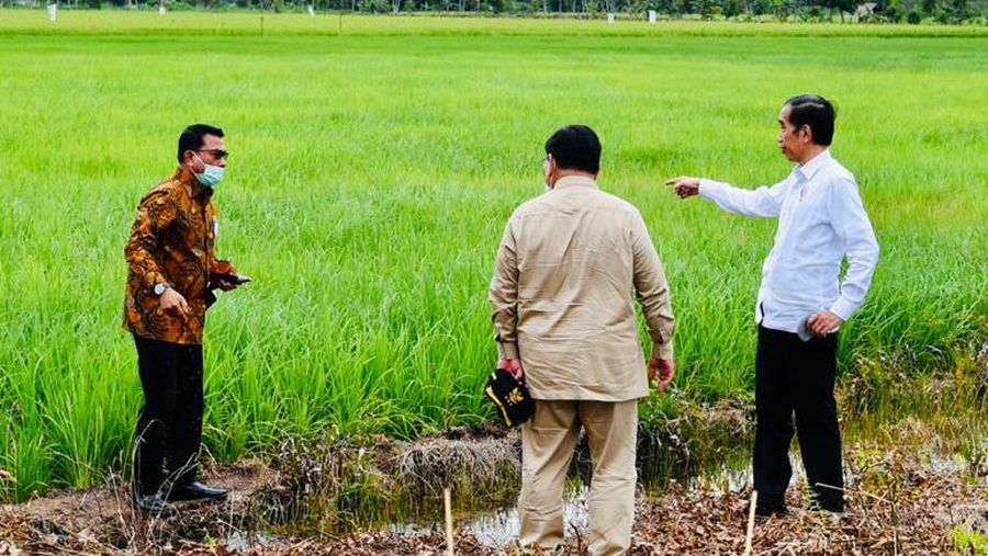 Presiden Joko Widodo beserta rombongan meninjau pembangunan peningkatan jaringan reklamasi rawa di Tahai Baru, Kabupaten Pulang Pisau, Kamis (9/7/2020). (Biro Pers Sekretariat Presiden/Laily Rachev)