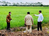 Moeldoko Buka-bukaan Soal Prabowo Jadi Bos Lumbung Pangan RI