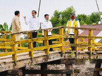 Digarap Prabowo & SYL, Basuki Buka-bukaan Food Estate Jokowi