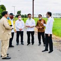 Lumbung Pangan Jokowi di Tangan Prabowo, RI Siap Swasembada?