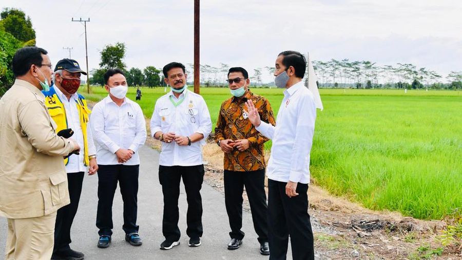 Presiden Joko Widodo beserta rombongan meninjau pembangunan peningkatan jaringan reklamasi rawa di Tahai Baru, Kabupaten Pulang Pisau, Kamis (9/7/2020). (Biro Pers Sekretariat Presiden/Laily Rachev)