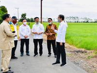 Lumbung Pangan Jokowi di Tangan Prabowo, RI Siap Swasembada?