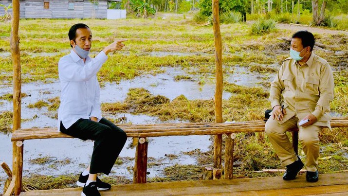 Presiden Joko Widodo dan Menteri Pertahanan Prabowo Subianto meninjau lokasi pengembangan food estate atau lumbung pangan nasional dalam kunjungan kerja ke Provinsi Kalimantan Tengah pada Kamis (9/7/20220). (Biro Pers Sekretariat Presiden/ Laily Rachev)