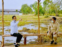 Prabowo Mimpi RI Swasembada Pangan, Sayang RI Gak Punya Duit