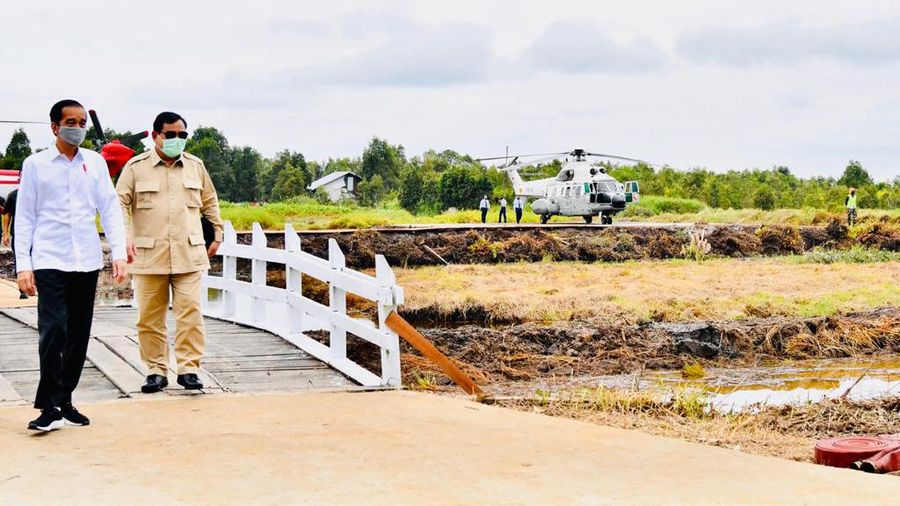 Presiden Joko Widodo dan Menteri Pertahanan Prabowo Subianto meninjau lokasi pengembangan food estate atau lumbung pangan nasional dalam kunjungan kerja ke Provinsi Kalimantan Tengah pada Kamis (9/7/20220). (Biro Pers Sekretariat Presiden/ Laily Rachev)