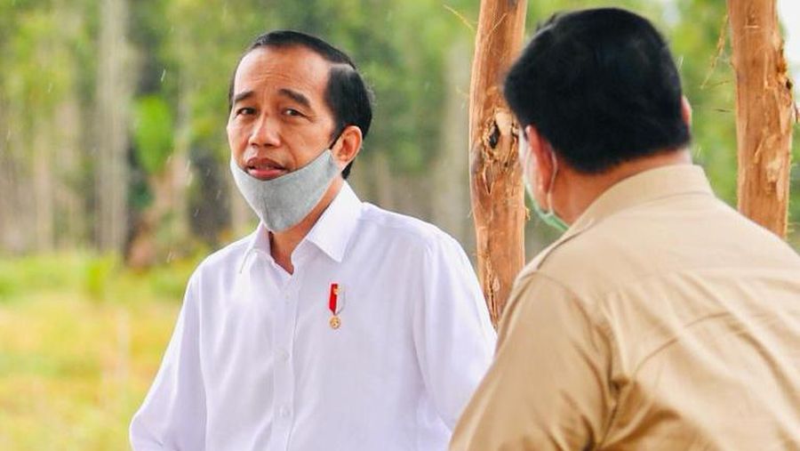 Presiden Joko Widodo dan Menteri Pertahanan Prabowo Subianto meninjau lokasi pengembangan food estate atau lumbung pangan nasional dalam kunjungan kerja ke Provinsi Kalimantan Tengah pada Kamis (9/7/20220). (Biro Pers Sekretariat Presiden/ Laily Rachev)