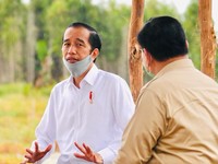 Soal Harga Beras Mahal, Jokowi: Petani Senang, Konsumen Gak