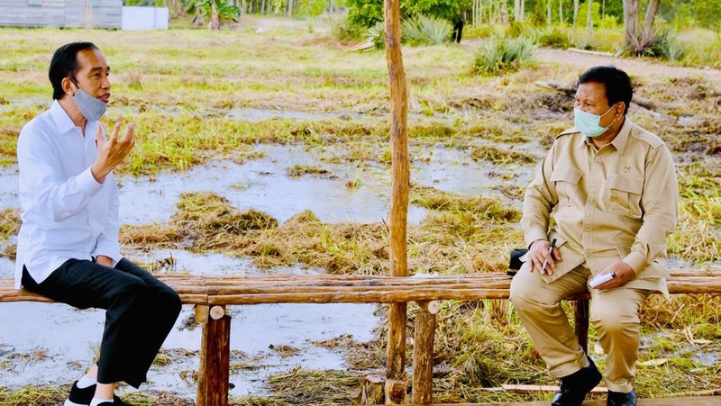 Presiden Joko Widodo dan Menteri Pertahanan Prabowo Subianto meninjau lokasi pengembangan food estate atau lumbung pangan nasional dalam kunjungan kerja ke Provinsi Kalimantan Tengah pada Kamis (9/7/20220). (Biro Pers Sekretariat Presiden/ Laily Rachev)
