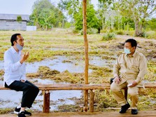 Geger DPR Sebut Food Estate 'Kacau Balau', Prabowo Buka Suara