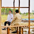 Penuh Tantangan, Segini Produksi Padi dan Luas Lahan di Era Jokowi