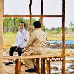 Penuh Tantangan, Segini Produksi Padi dan Luas Lahan di Era Jokowi