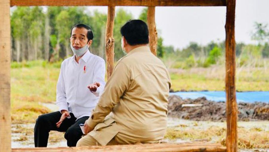 Presiden Joko Widodo dan Menteri Pertahanan Prabowo Subianto meninjau lokasi pengembangan food estate atau lumbung pangan nasional dalam kunjungan kerja ke Provinsi Kalimantan Tengah pada Kamis (9/7/20220). (Biro Pers Sekretariat Presiden/ Laily Rachev)