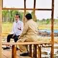 Jokowi Punya Titah Baru ke Prabowo Soal Lumbung Pangan