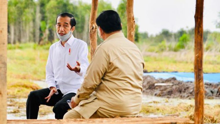 Presiden Joko Widodo dan Menteri Pertahanan Prabowo Subianto meninjau lokasi pengembangan food estate atau lumbung pangan nasional dalam kunjungan kerja ke Provinsi Kalimantan Tengah pada Kamis (9/7/20220). (Biro Pers Sekretariat Presiden/ Laily Rachev)