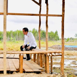 Pak Jokowi, 10 Tahun Ini Jumlah Usaha Pertanian RI Menyusut!