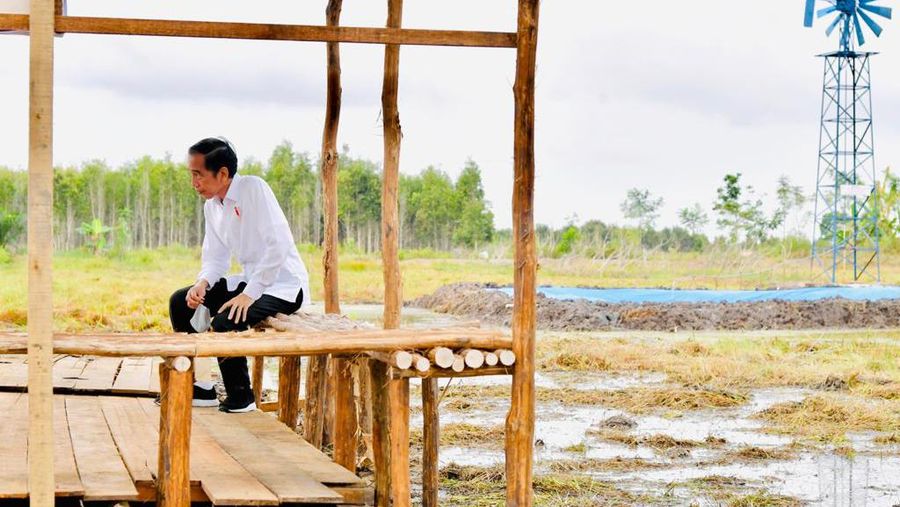 Presiden Joko Widodo meninjau lokasi pengembangan food estate atau lumbung pangan nasional dalam kunjungan kerja ke Provinsi Kalimantan Tengah pada Kamis (9/7/20220). (Biro Pers Sekretariat Presiden/ Laily Rachev) Presiden Joko Widodo meninjau lokasi pengembangan food estate atau lumbung pangan nasional dalam kunjungan kerja ke Provinsi Kalimantan Tengah pada Kamis (9/7/20220). (Biro Pers Sekretariat Presiden/ Laily Rachev)
