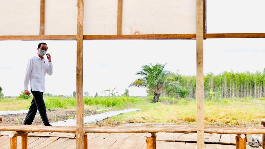 Presiden Joko Widodo meninjau lokasi pengembangan food estate atau lumbung pangan nasional dalam kunjungan kerja ke Provinsi Kalimantan Tengah pada Kamis (9/7/20220). (Biro Pers Sekretariat Presiden/ Laily Rachev)