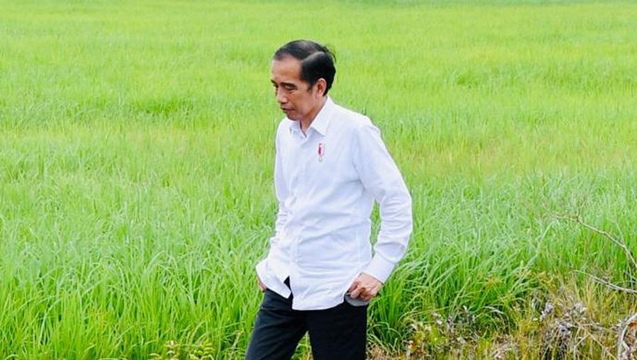Presiden Joko Widodo meninjau pembangunan peningkatan jaringan reklamasi rawa di Tahai Baru, Kabupaten Pulang Pisau, Kamis (9/7/2020). (Biro Pers Sekretariat Presiden/Laily Rachev)