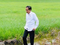 Jokowi Lampu Merah & Kawal Covid-19 Bilang Pandemi Baru Mulai
