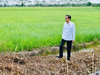 Apa Saja Langkah Jokowi Selamatkan RI dari Jurang Krisis?