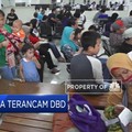 Asia Tenggara Terancam DBD