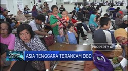 Asia Tenggara Terancam DBD