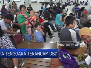 Asia Tenggara Terancam DBD