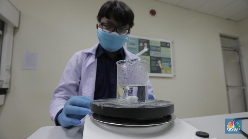 Tim Peneliti Fisika LIPI, Puspitek Tangerang Selatan berhasil mengembangkan masker kain disinfektor berlapis tembaga yang mampu membunuh virus Covid-19 dalam waktu 4 jam.  Jumat (10/7/20). CNBC Indonesia/Tri Susilo Lembaga Ilmu Pengetahuan Indonesia (LIPI) melakukan riset pada masker kain sebagai upaya penanganan Covid-19 di Indonesia. Inovasi masker ini diperuntukan bagi masyarakat umum, bukan tenaga medis. Peneliti Pusat Penelitian Fisika LIPI Deni Shidqi Khaerudini menyatakan, timnya sedang mengembangkan masker kain disinfektor berbasis lapisan tembaga yang diyakini anti Covid-19. Ini berdasarkan beberapa penelitian terkait tembaga sebagai anti-microbial agent. Penelitian tersebut di antaranya menunjukkan bahwa tembaga telah dikenal sebagai anti-microbial agent (agen anti mikroba) sejak zaman Mesir dan Yunani kuno, seperti untuk perawatan luka dan sterilisasi air. Selain itu, ditemukan terjadinya perusakan bakteri maupun virus akibat kontak dengan tembaga (contact killer), meski berbeda-beda tergantung jenis mikroorganisme. Secara umum, mekanisme perusakan terjadi dengan ion-ion tembaga yang mudah terlepas setelah bakteri atau virus menempel pada lapisan tembaga. Hal ini mengakibatkan kerusakan pada dinding sel dan degradasi DNA atau RNA, sehingga mikroba tidak mampu reproduksi yang berujung pada kematian sel tersebut. Terkait SARS-CoV-2 atau virus corona penyebab Covid-19, penelitian terbaru menunjukkan bahwa virus corona hanya mampu bertahan selama 4 jam di permukaan tembaga. Riset ini juga didasari efektivitas penyaringan (filter) mikroorganisme terhadap masker kain yang selama ini umum digunakan masyarakat untuk mencegah penularan Covid-19. Diketahui, virus corona berdiameter 0,065-0,125 mikron. Penelitian efektivitas filter masker kain didasarkan pada mikroorganisme B. Atrophaeus yang berdiameter 0,9-1,25 mikron. Hasilnya, masker kain satu lapis memiliki kemampuan filter 69,42 persen dan yang dua lapis sebesar 70,66 persen. Dengan demikian, jika dibandingkan dengan virus corona yang memiliki diameter 10 kali lipat lebih kecil dari bakteri B. Atrophaeus, maka kemampuan filter masker kain terhadap virus corona jauh lebih rendah. (CNBC Indonesia/ Tri Susilo)