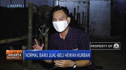 Normal Baru Jual-Beli Hewan Kurban