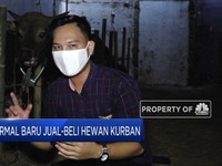 Normal Baru Jual-Beli Hewan Kurban