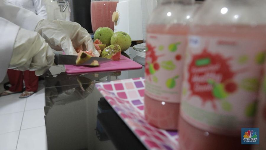 Lembaga Ilmu Pengetahuan Indonesia (LIPI) Puspitek, Tangerang Selatan, Banten terus berinovasi mengembangkan produk yang bermanfaat untuk menghadapi pandemi Covid-19 di Indonesia. Di antaranya, dengan memproduksi suplemen untuk daya tahan tubuh. Jumat (10/7/20). CNBC Indonesia/Tri Susilo
Peneliti Pusat Penelitian Kimia LIPI Yati Maryati menyatakan, pihaknya mengembangkan riset buah jambu biji merah menjadi minuman suplemen yang dapat meningkatkan imunitas tubuh. Teknik pengolahannya dilakukan dengan fermentasi.